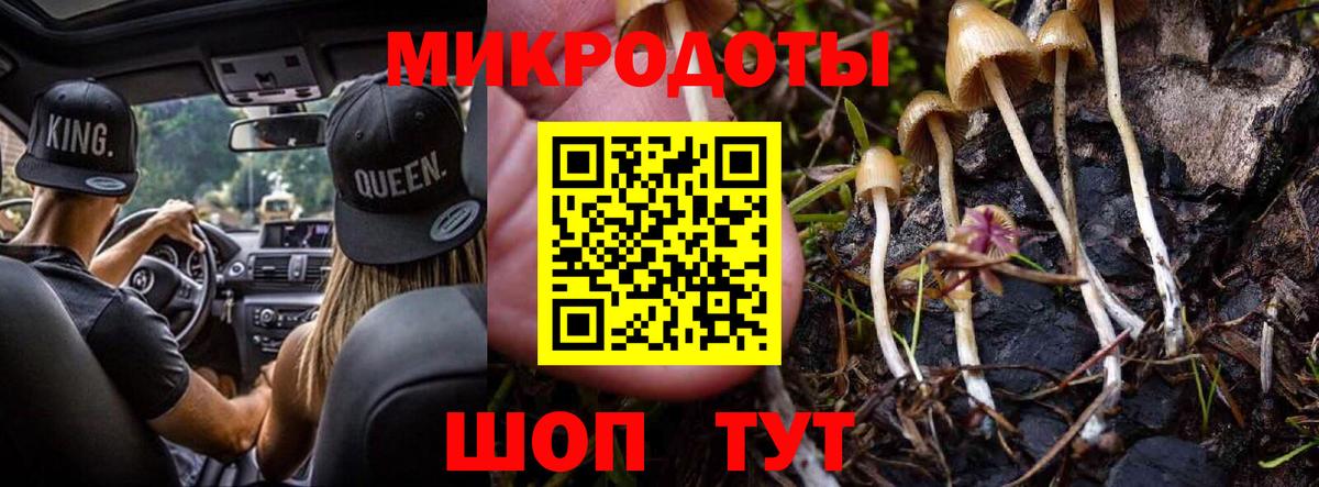 Галлюциногенные грибы мухоморы Братск