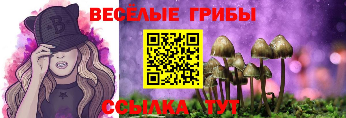 Псилоцибиновые грибы GOLDEN TEACHER  Вход с VPN  Псилоцибиновые грибы Cubensis  Братск 
